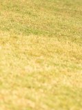 DSC05486