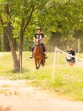 DSC02556 DSC02556