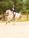 DSC06943 DSC06943