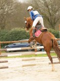 DSC03785 DSC03785
