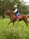 DSC06289
