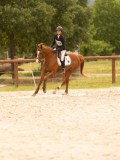 DSC06765 DSC06765