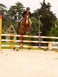 DSC06775 DSC06775