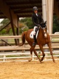 DSC07139 DSC07139