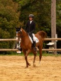 DSC07156 DSC07156