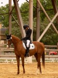 DSC07158 DSC07158