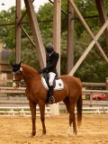 DSC07159 DSC07159