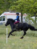IMG_8808