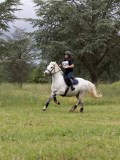 IMG_3718
