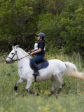 IMG_8828