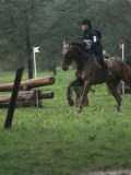 24_03681 24_03681