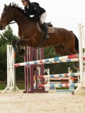 DSC04168 DSC04168
