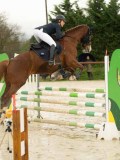 DSC04440 DSC04440