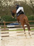 DSC04443 DSC04443
