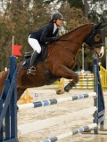 DSC04445 DSC04445