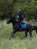 IMG_8866