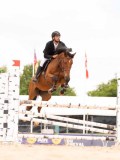 DSC03244 DSC03244