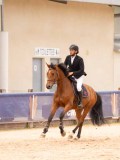 DSC03254 DSC03254