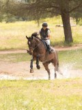 24_05599 24_05599