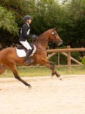 DSC03579 DSC03579