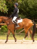 DSC03590 DSC03590