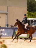 DSC03010 DSC03010