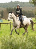 DSC06426 DSC06426