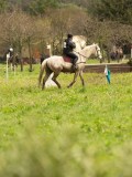 DSC06525 DSC06525