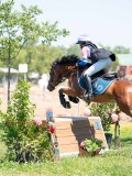 DSC07745 DSC07745