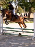 DSC08431 DSC08431