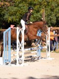 DSC08434 DSC08434
