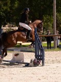 DSC08436 DSC08436