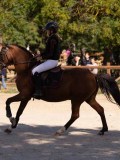 DSC08438 DSC08438