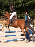 DSC08439 DSC08439