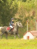 DSC06361