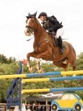 DSC03696 DSC03696
