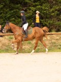 DSC03709 DSC03709