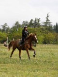 IMG_2179 IMG_2179