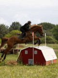 IMG_2181 IMG_2181