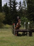 IMG_2183 IMG_2183