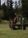 IMG_2184 IMG_2184