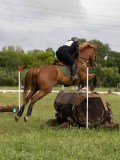 IMG_2194 IMG_2194