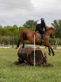 IMG_2195 IMG_2195