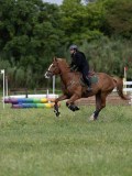 IMG_2196 IMG_2196