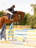 DSC02242