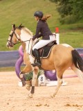 DSC04167 DSC04167