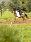 DSC06539 DSC06539