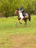 DSC06540 DSC06540