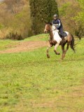 DSC06541 DSC06541