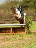 DSC06542 DSC06542